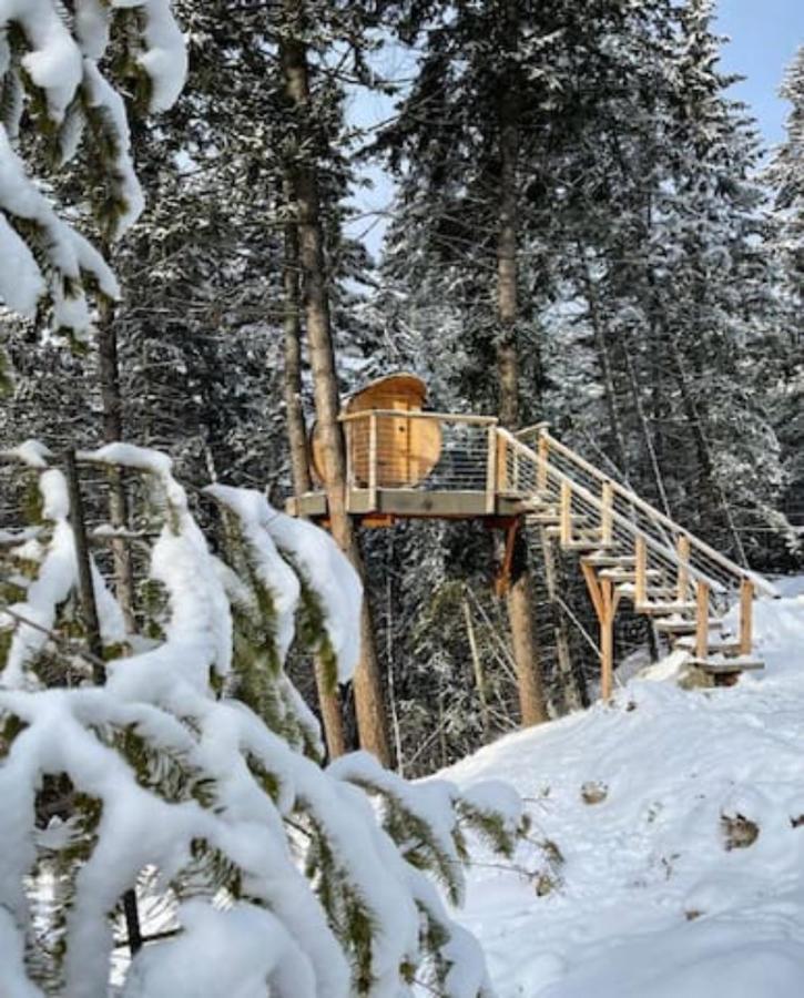 Golden Tiny Homes 外观 照片